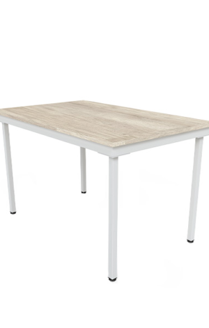MESA RECTA 120