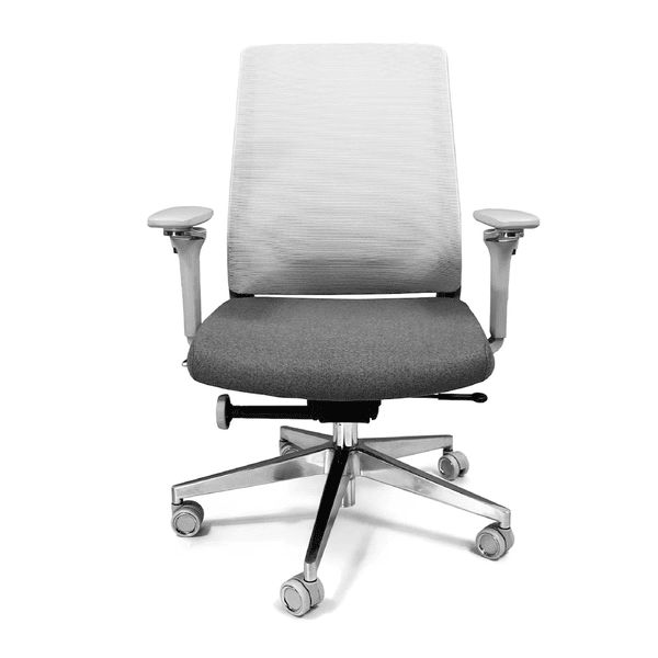 ALFA GRIS EJECUTIVO - Image 2